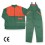 FOREST CLASIC