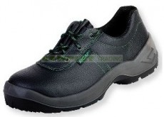 SALO cat S3 art.2845