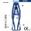 CENTURA RAPID